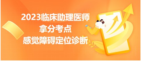 2023臨床助理醫(yī)師拿分考點感覺障礙定位診斷